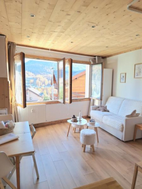 T2 cosy avec très belle vue à 400m des pistes